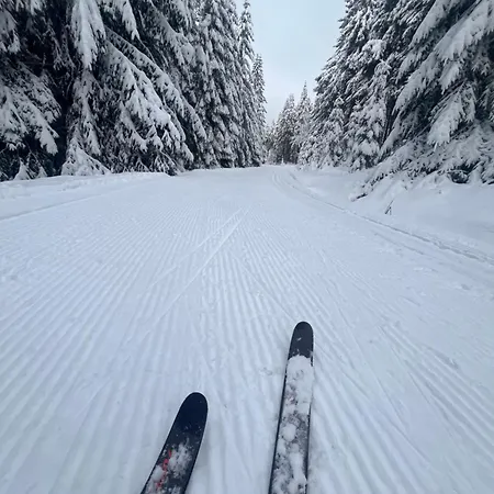 シャレー Pod Spicakem