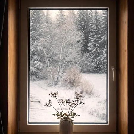 Pod Spicakem Chalet *