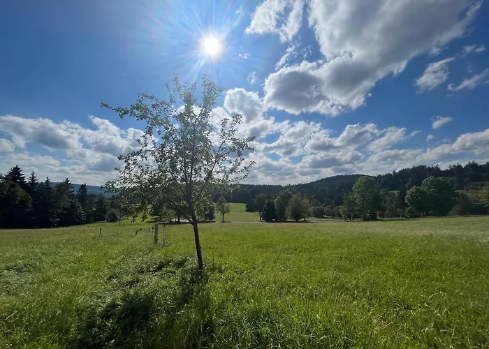Pod Spicakem Alpstuga Smržovka
