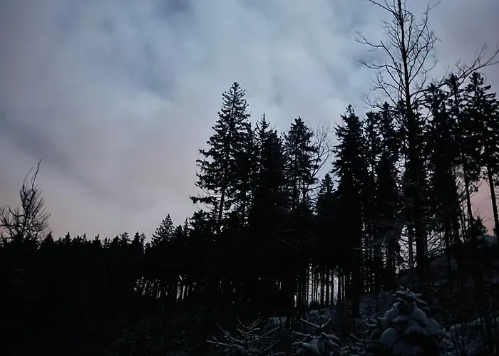 Alpstuga Pod Spicakem Smržovka