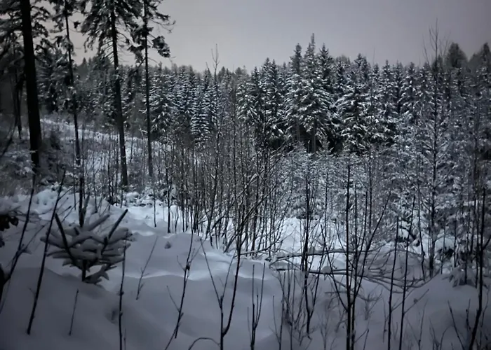 Pod Spicakem Alpstuga Smržovka