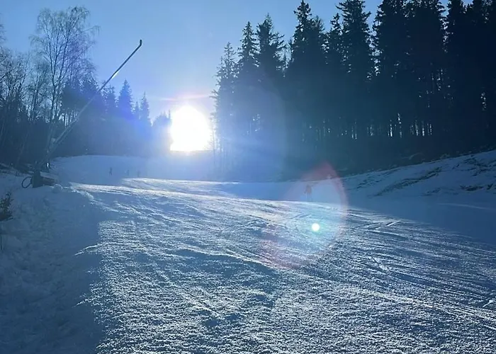 Pod Spicakem Alpstuga
