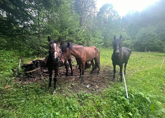 Pod špičákem Smržovka