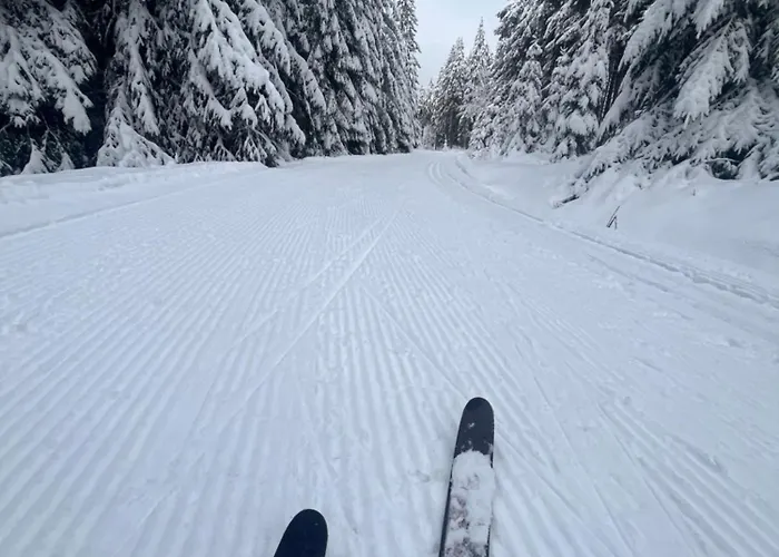 Horská chata Pod špičákem